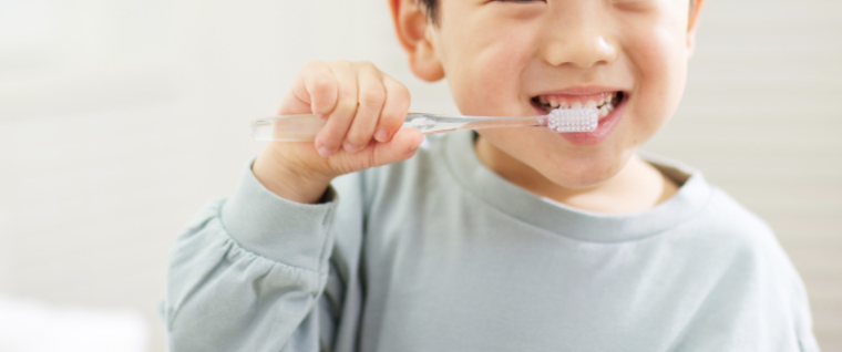 子どもの歯の発育ステージ